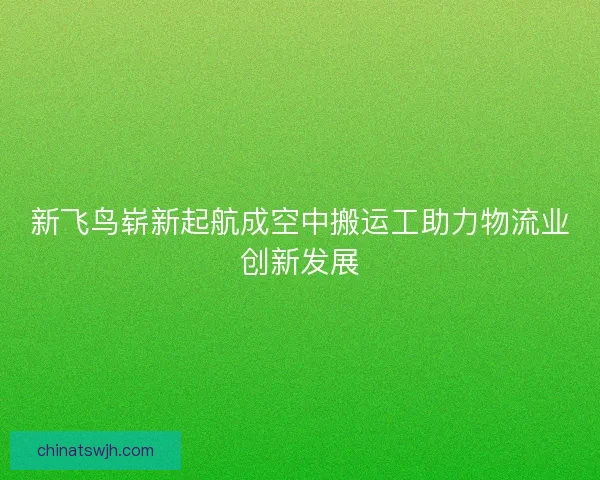 新飞鸟崭新起航成空中搬运工助力物流业创新发展