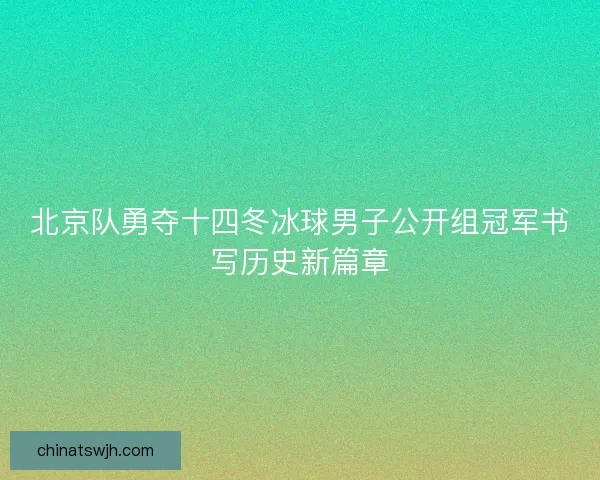 北京队勇夺十四冬冰球男子公开组冠军书写历史新篇章