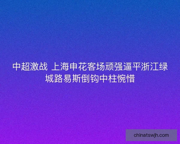 中超激战 上海申花客场顽强逼平浙江绿城路易斯倒钩中柱惋惜